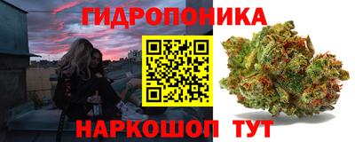 СК Кандалакша