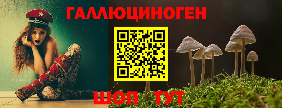 Галлюциногенные грибы MAGIC MUSHROOMS  Псилоцибиновые грибы MAGIC MUSHROOMS  Ленинск-Кузнецкий  Вход с VPN 